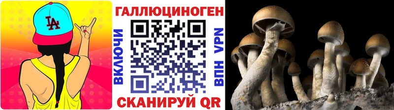 Галлюциногенные грибы мицелий  blacksprut рабочий сайт  Магас 